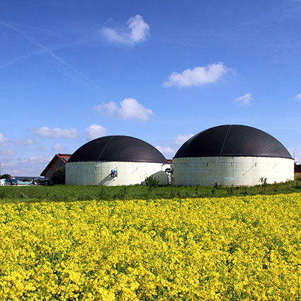 Servizi per l'automazione,
telecontrollo e robotica per il settore del biogas